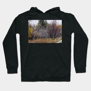 First Snowfall. Hoodie